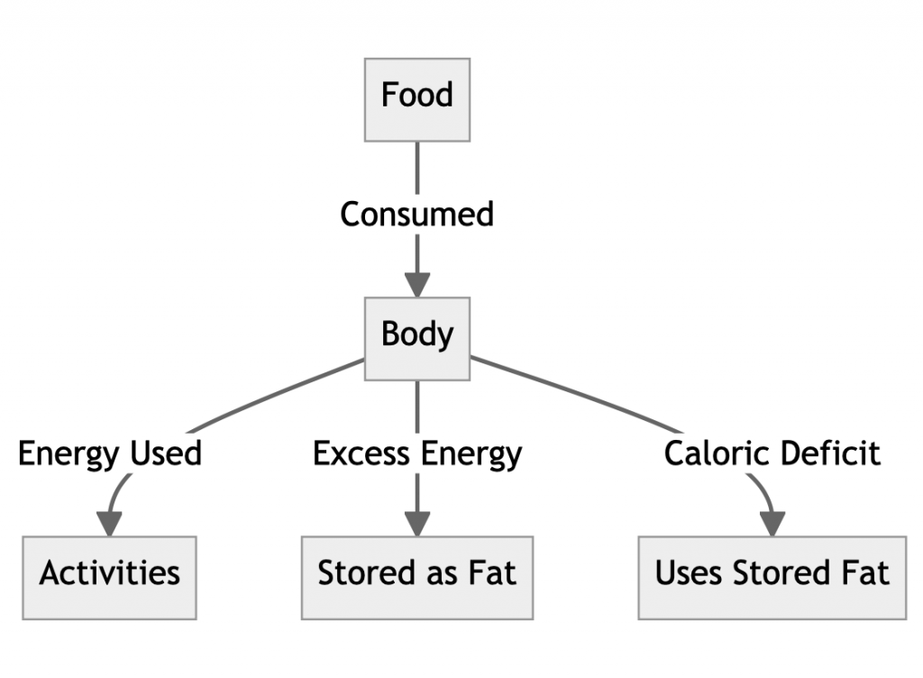 Calorie deficit diagram explains sustainable weight loss